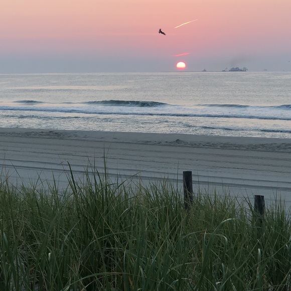 Meet your Posher, Diane - Picture 2 of 2